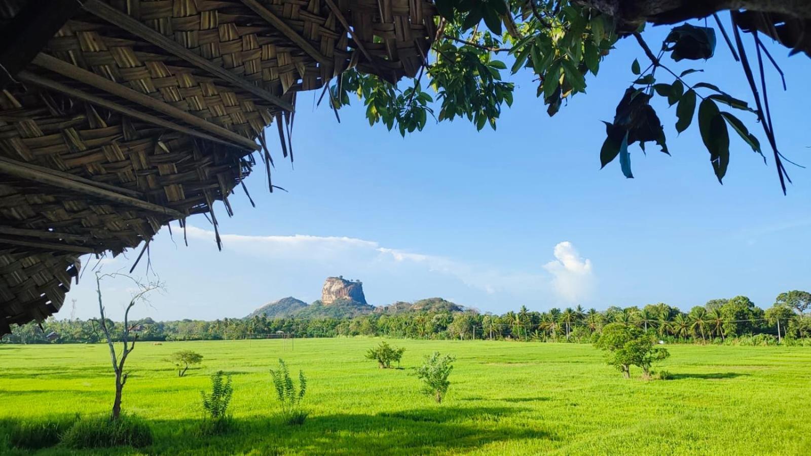 Lucky Villa سيغيرِيا المظهر الخارجي الصورة