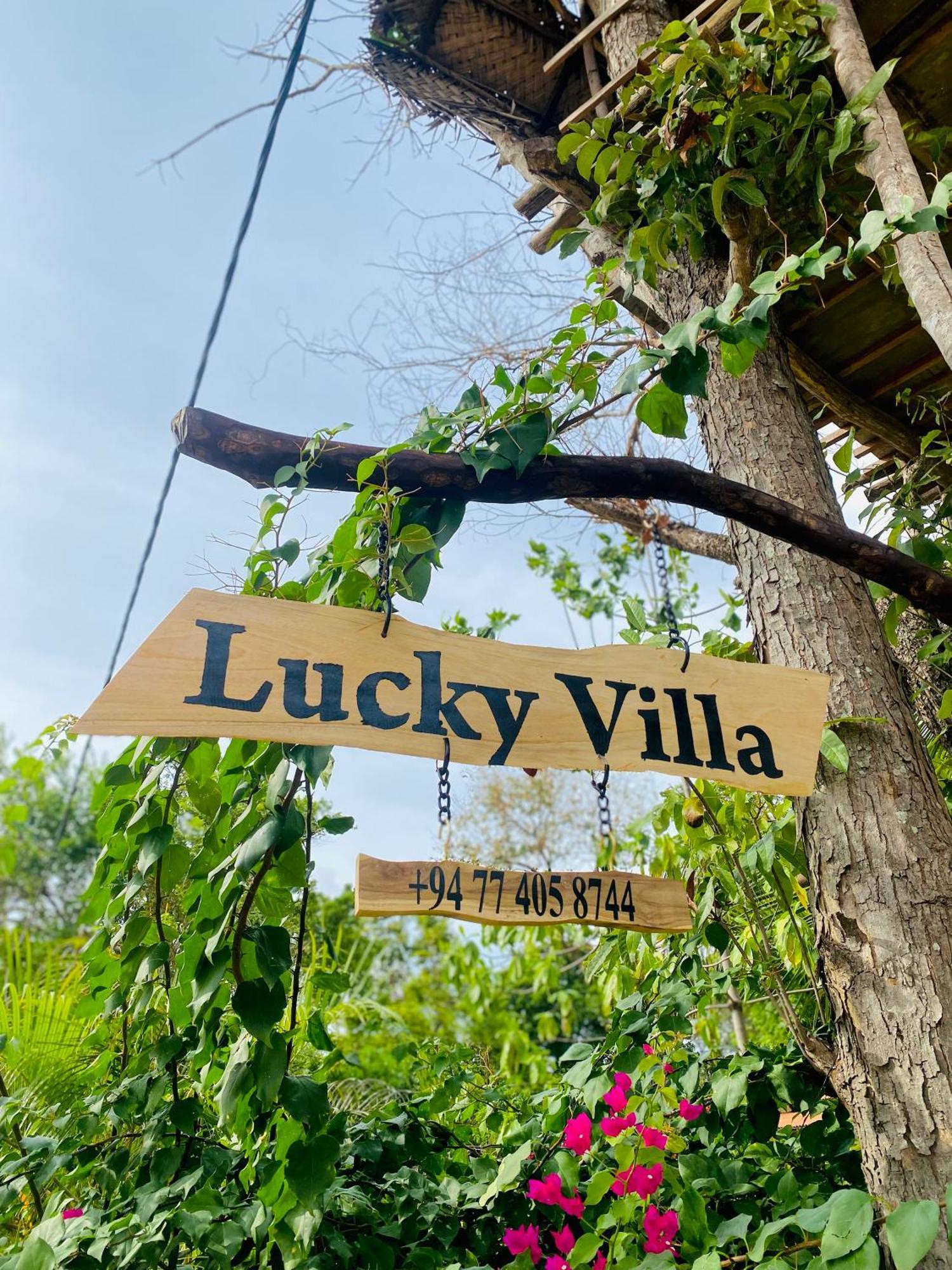 Lucky Villa سيغيرِيا المظهر الخارجي الصورة